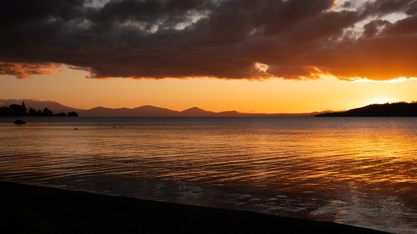 Photography - A stunning sunset casts a warm golden glow across the calm waters, with mountains silhouetted against the vibrant sky. Dark clouds add contrast, enhancing the dramatic feel of the serene landscape. Lake Taupo, NZ.